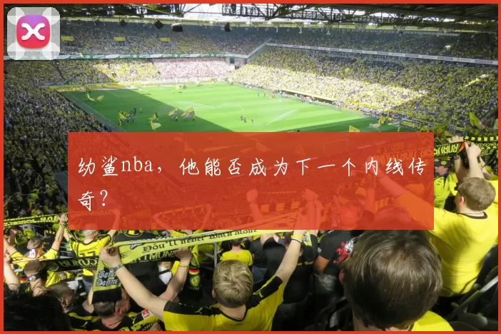 幼鲨nba，他能否成为下一个内线传奇？