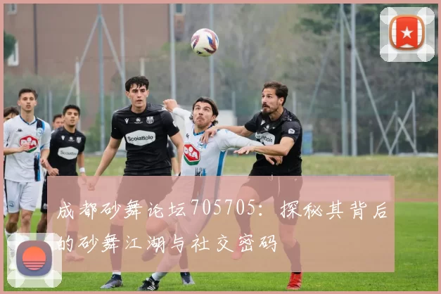 成都砂舞论坛705705：探秘其背后的砂舞江湖与社交密码