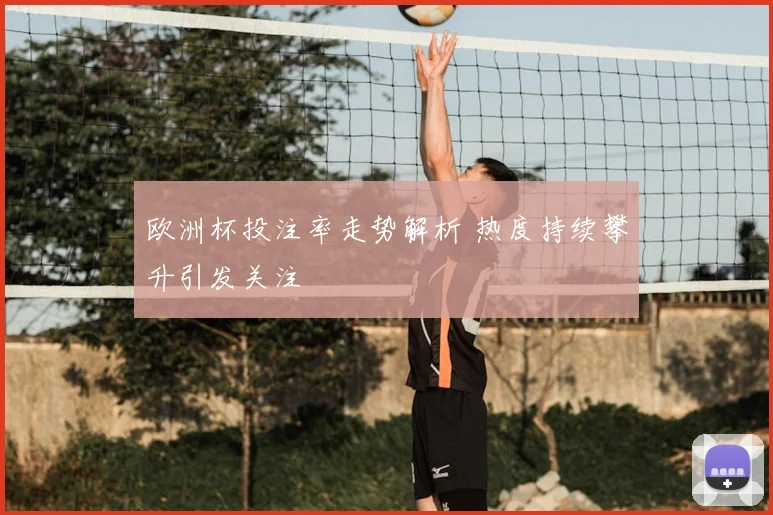 欧洲杯投注率走势解析 热度持续攀升引发关注