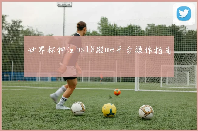 世界杯押注bs18殿me平台操作指南