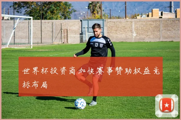 世界杯投资商加快赛事赞助权益竞标布局
