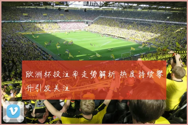 欧洲杯投注率走势解析 热度持续攀升引发关注